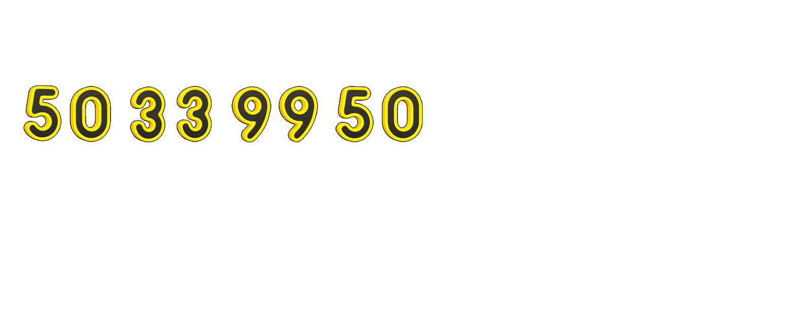 +45 50 33 99 50